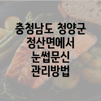 충청남도 청양군 정산면에서 눈썹문신 관리방법