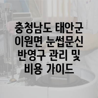 충청남도 태안군 이원면 눈썹문신 반영구 관리 및 비용 가이드