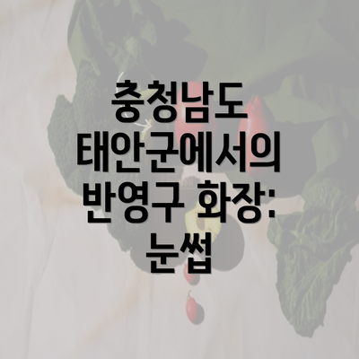 충청남도 태안군에서의 반영구 화장: 눈썹