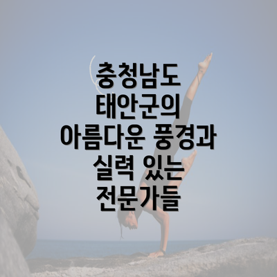 충청남도 태안군의 아름다운 풍경과 실력 있는 전문가들