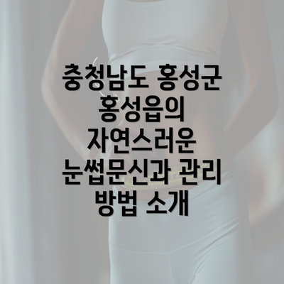 충청남도 홍성군 홍성읍의 자연스러운 눈썹문신과 관리 방법 소개