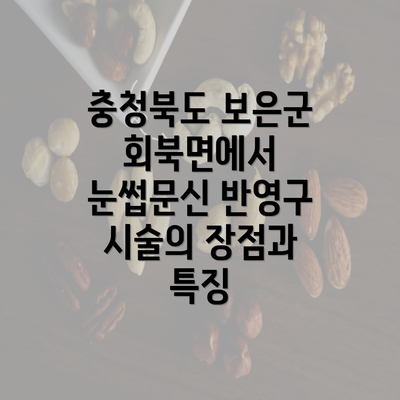 충청북도 보은군 회북면에서 눈썹문신 반영구 시술의 장점과 특징