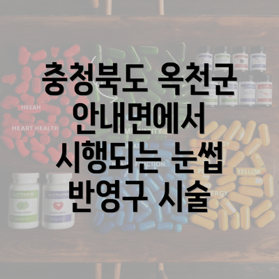 충청북도 옥천군 안내면에서 시행되는 눈썹 반영구 시술