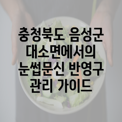 충청북도 음성군 대소면에서의 눈썹문신 반영구 관리 가이드