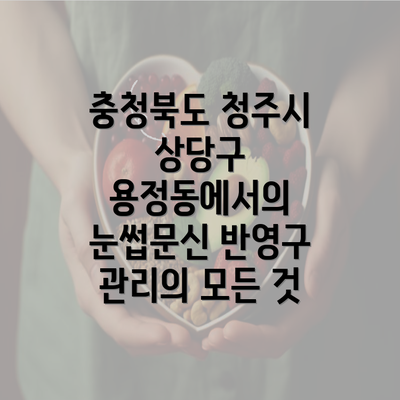 충청북도 청주시 상당구 용정동 눈썹문신 반영구의 필요성