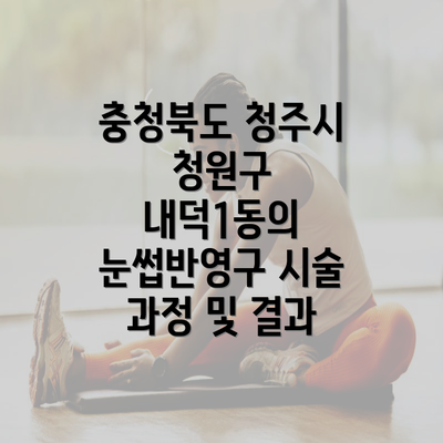 충청북도 청주시 청원구 내덕1동의 눈썹반영구 시술 과정 및 결과