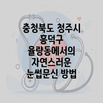 충청북도 청주시 흥덕구 율량동에서의 자연스러운 눈썹문신 방법