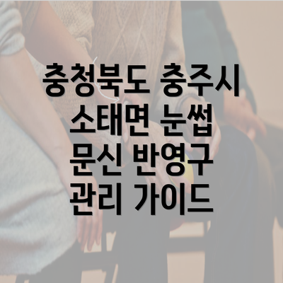 충청북도 충주시 소태면 눈썹 문신 반영구 관리 가이드