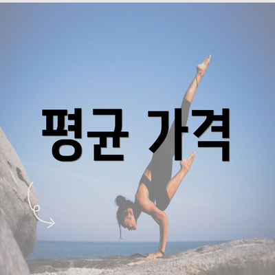 평균 가격