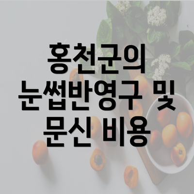 홍천군의 눈썹반영구 및 문신 비용