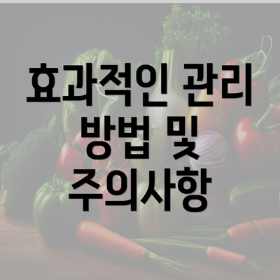 효과적인 관리 방법 및 주의사항