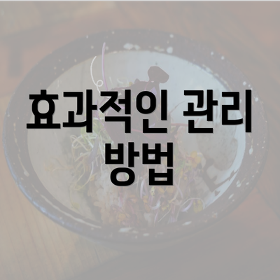 효과적인 관리 방법