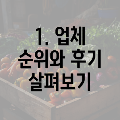 1. 업체 순위와 후기 살펴보기