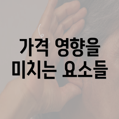 가격 영향을 미치는 요소들