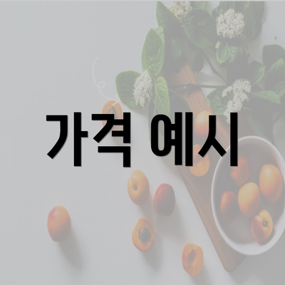 가격 예시