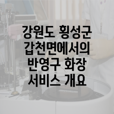 강원도 횡성군 갑천면에서의 반영구 화장 서비스 개요