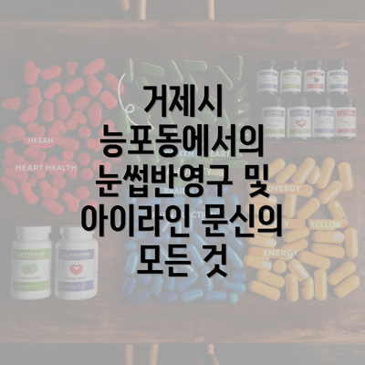 거제시 능포동에서의 눈썹반영구 및 아이라인 문신의 모든 것