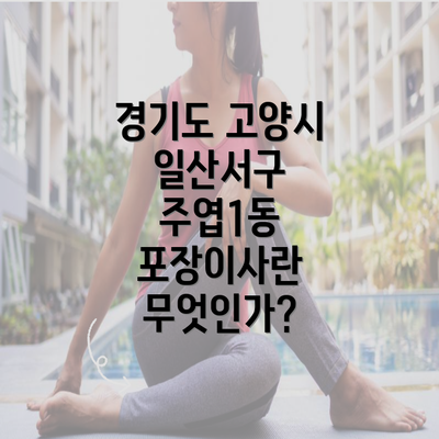 경기도 고양시 일산서구 주엽1동 포장이사란 무엇인가?