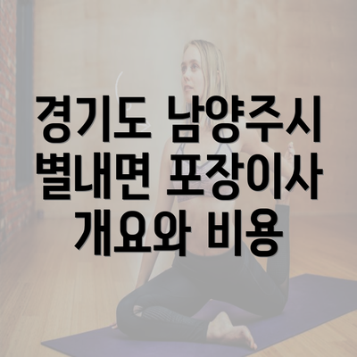 경기도 남양주시 별내면 포장이사 개요와 비용