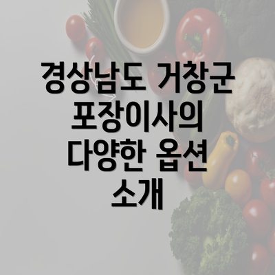 경상남도 거창군 포장이사의 다양한 옵션 소개