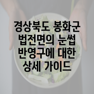 경상북도 봉화군 법전면의 눈썹 반영구에 대한 상세 가이드