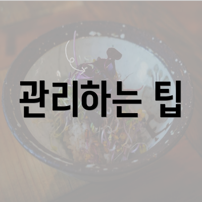 관리하는 팁