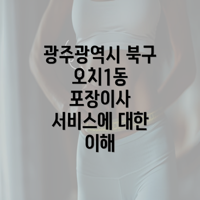 광주광역시 북구 오치1동 포장이사 서비스에 대한 이해