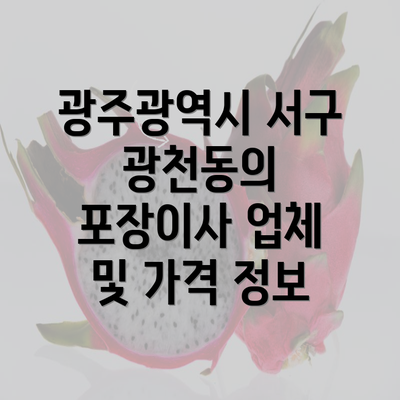 광주광역시 서구 광천동의 포장이사 업체 및 가격 정보