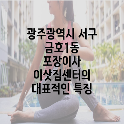 광주광역시 서구 금호1동 포장이사 이삿짐센터의 대표적인 특징