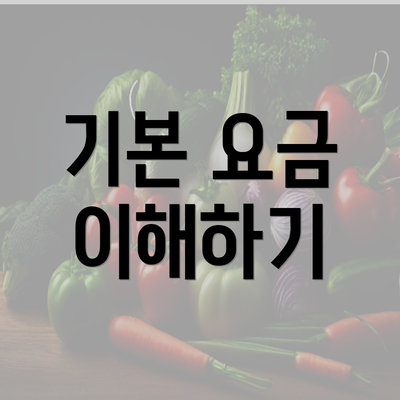 기본 요금 이해하기