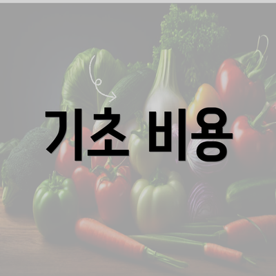 기초 비용