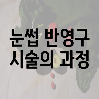 눈썹 반영구 시술의 과정