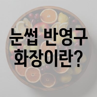 눈썹 반영구 화장이란?