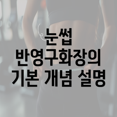 눈썹 반영구화장의 기본 개념 설명