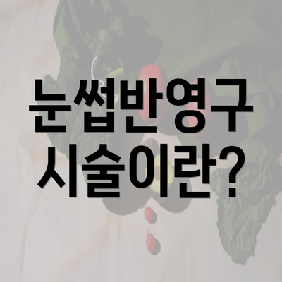 눈썹반영구 시술이란?