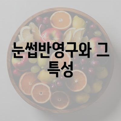 눈썹반영구와 그 특성