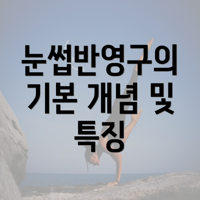 눈썹반영구의 기본 개념 및 특징