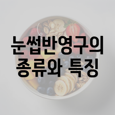 눈썹반영구의 종류와 특징