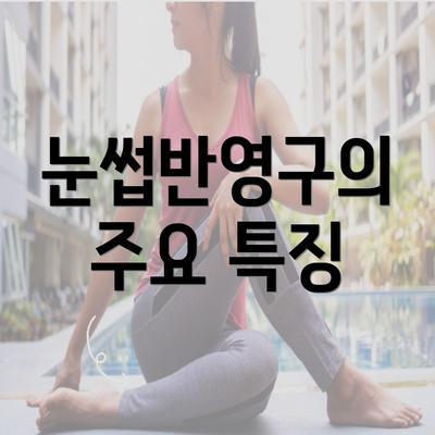 눈썹반영구의 주요 특징