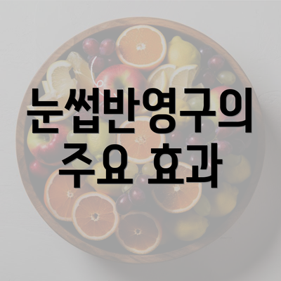 눈썹반영구의 주요 효과