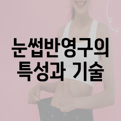 눈썹반영구의 특성과 기술