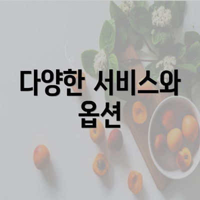 다양한 서비스와 옵션