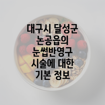 대구시 달성군 논공읍의 눈썹반영구 시술에 대한 기본 정보