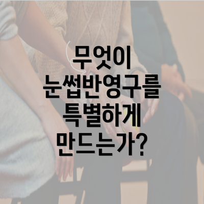 무엇이 눈썹반영구를 특별하게 만드는가?