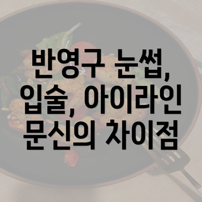 반영구 눈썹, 입술, 아이라인 문신의 차이점