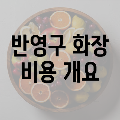 반영구 화장 비용 개요