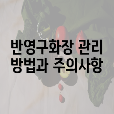 반영구화장 관리 방법과 주의사항