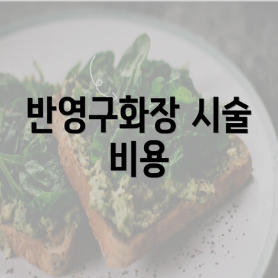 반영구화장 시술 비용