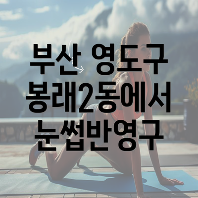 부산 영도구 봉래2동에서 눈썹반영구