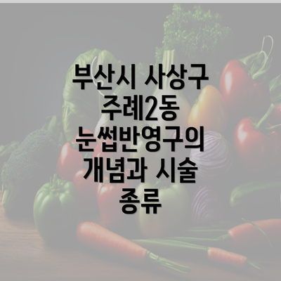 부산시 사상구 주례2동 눈썹반영구의 개념과 시술 종류